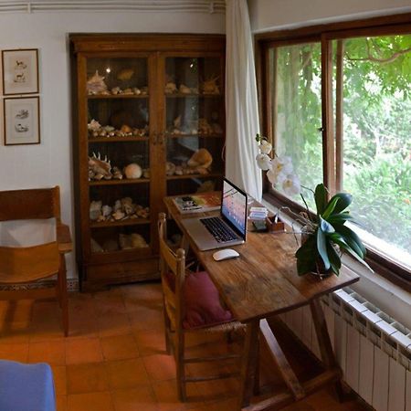 Il Glicine Sul Golfo Bed & Breakfast มอนเดลโล ภายนอก รูปภาพ