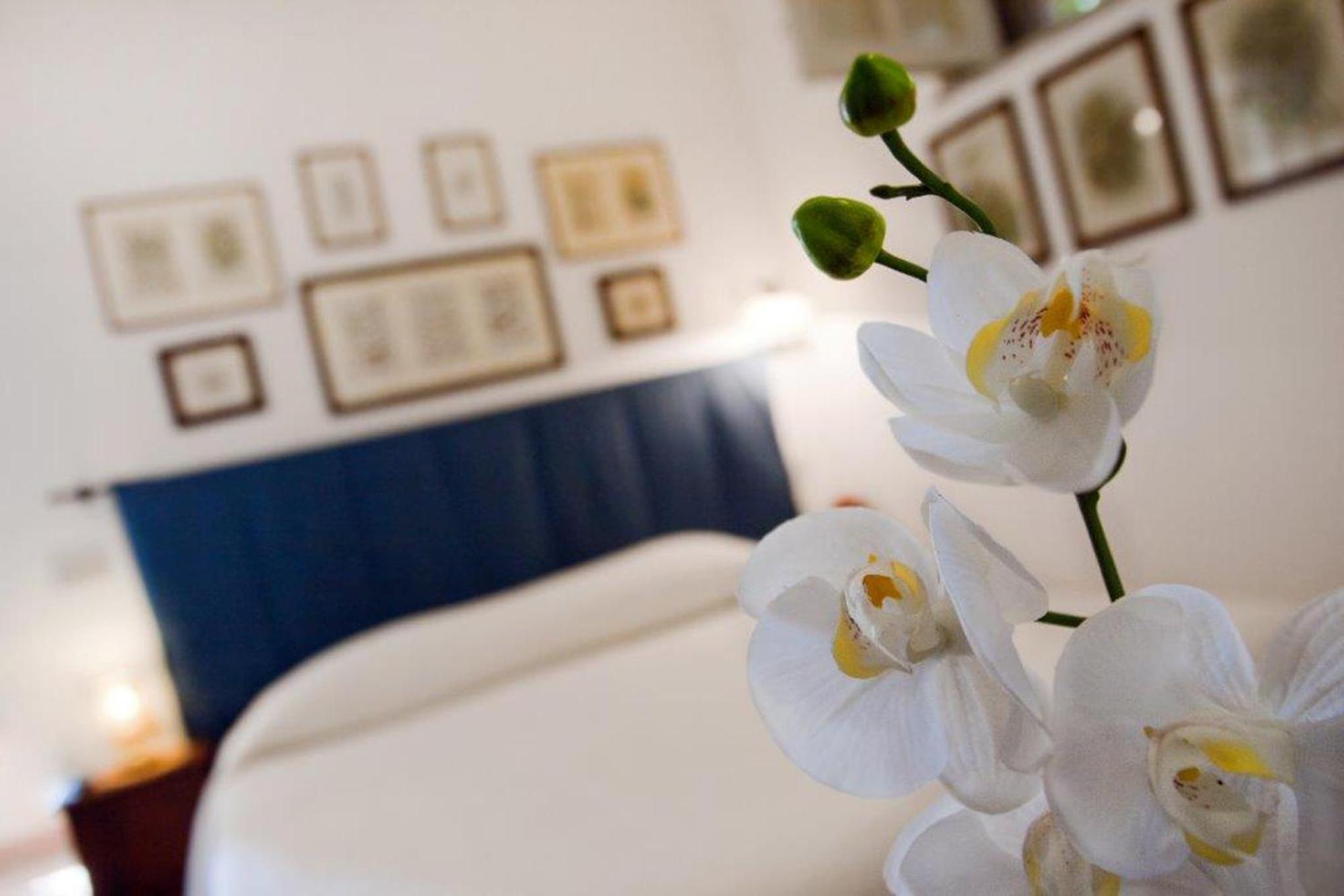 Il Glicine Sul Golfo Bed & Breakfast มอนเดลโล ห้อง รูปภาพ